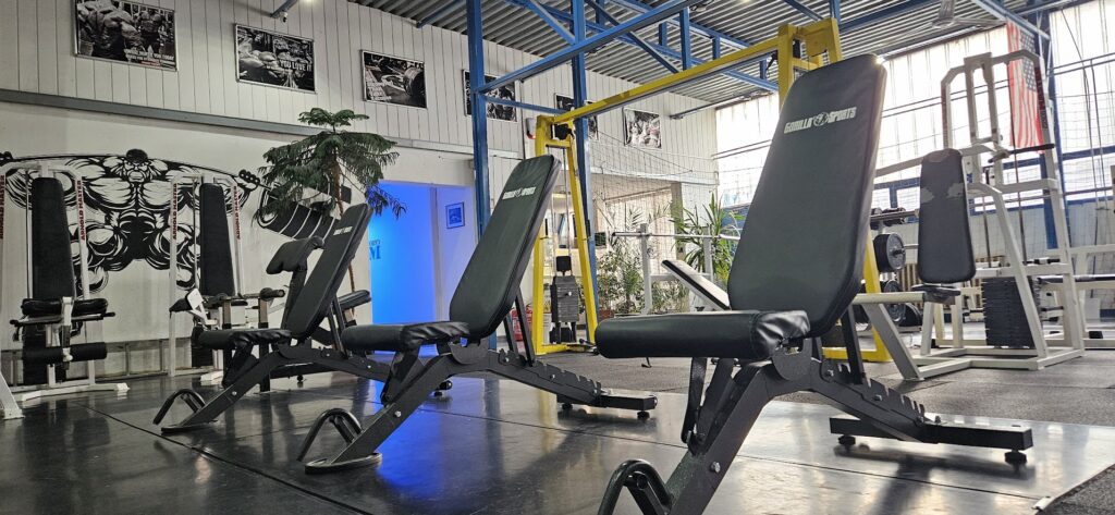 20240225 075940 1024x473